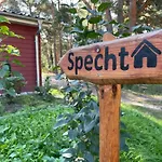 Specht * 조센