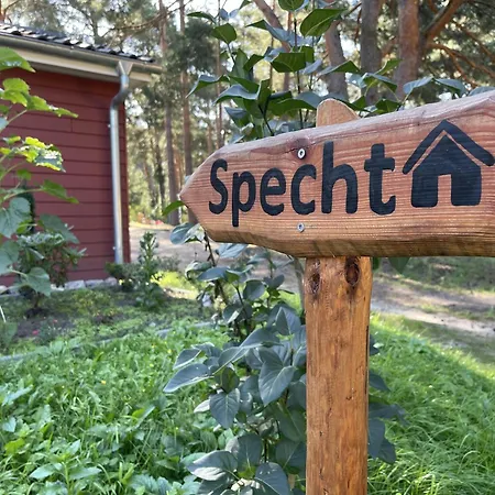 Specht * 조센