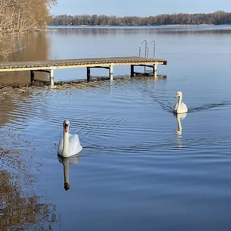 Specht Vakantiehuis Zossen