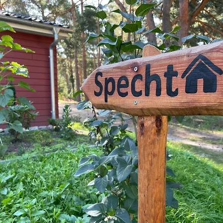 Specht * Zossen