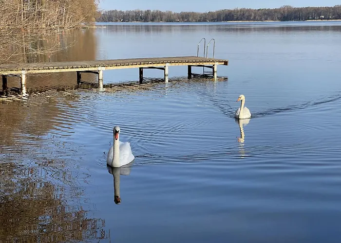 Specht Feriehus Zossen